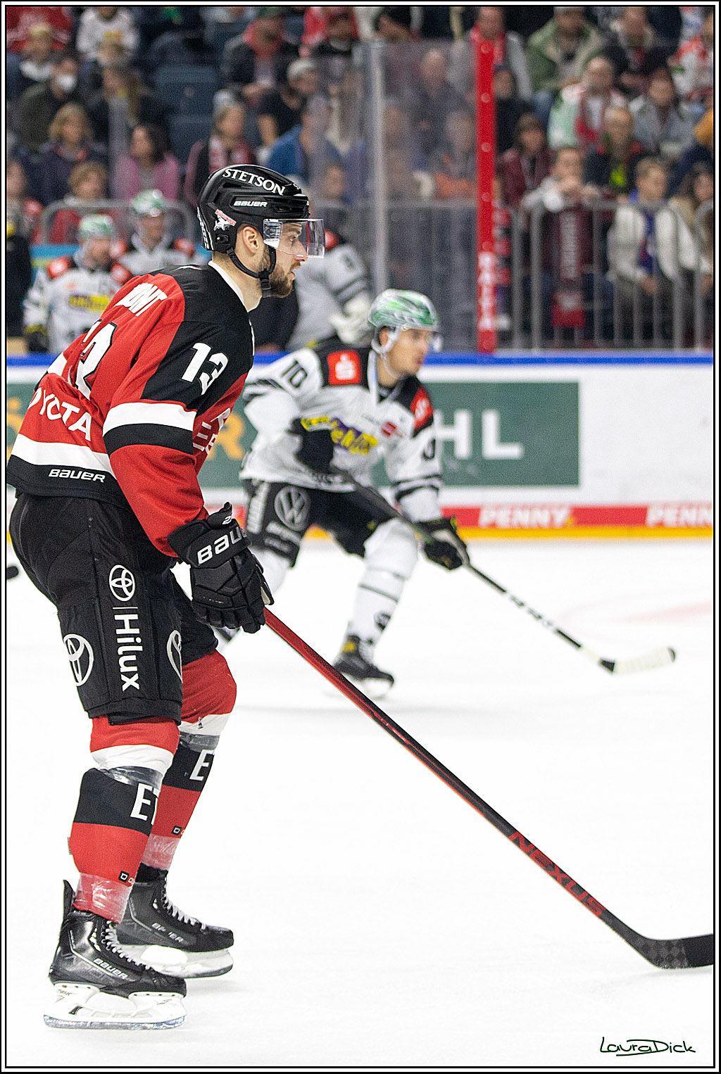 PENNY DEL;  Koelner Haie - Krefeld Pinguins; Koeln, 31.10.2021